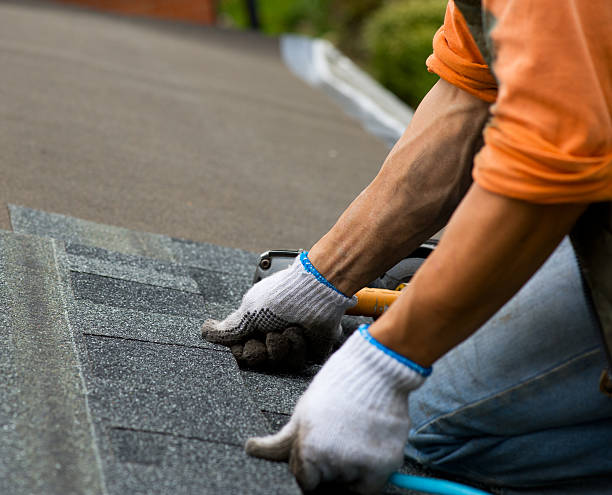 Best Roof Waterproofing Services  in Minor, AL